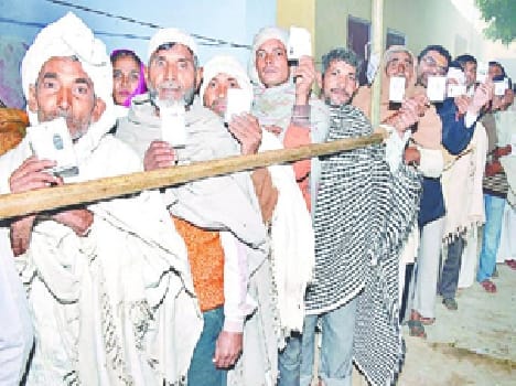 Between cold wave lasted votes