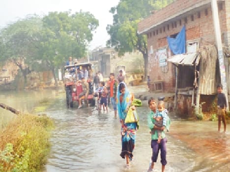 Hundreds bigha steeped crop , farmers blow