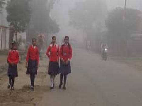 Fog affected normal life