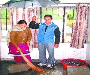 heavy rain in mandi