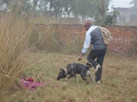 woman killed
