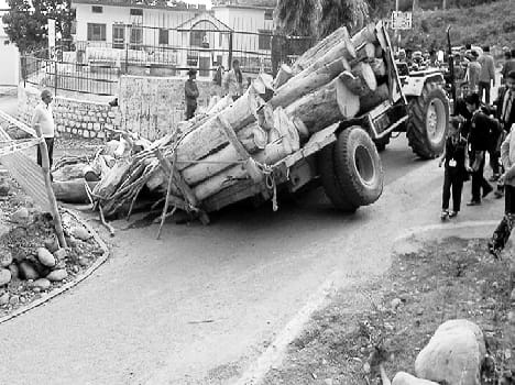 Entered the pit filled with wood tractor trolley