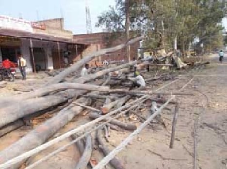 Power pole broken by falling trees