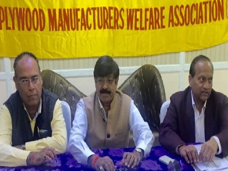 Will Supreme Court against exploitation plywood manufacturer