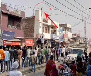 Bird entangled in the power cable, struggling to save lives