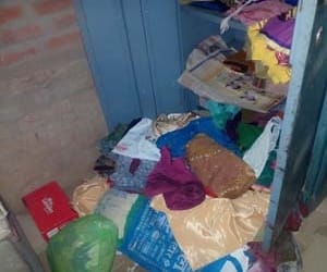 six theft in one night