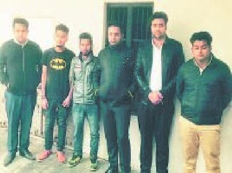 mla nephew insuls sho