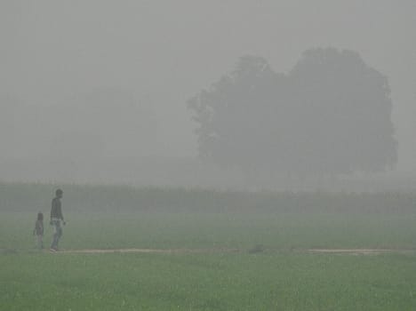 weather