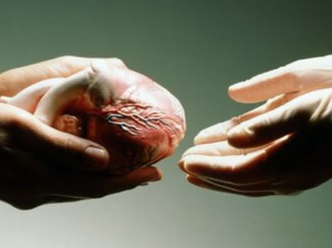 Govt to introduce organ donation will info on DL and Sim