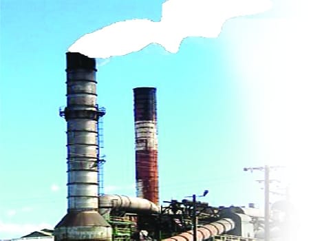 factories gone outside to paush areas