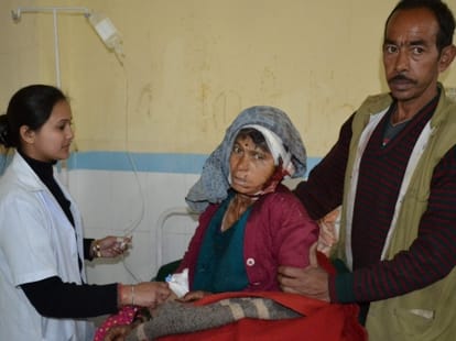 domestic dogs save woman from bear.