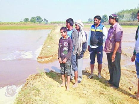 Hundreds of acres of crop submerged