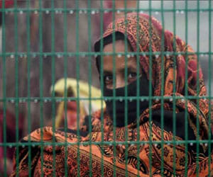 Be prepared to experience like cold Srinagar and Shimla