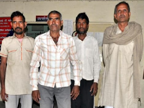 court granted bail to the two accused