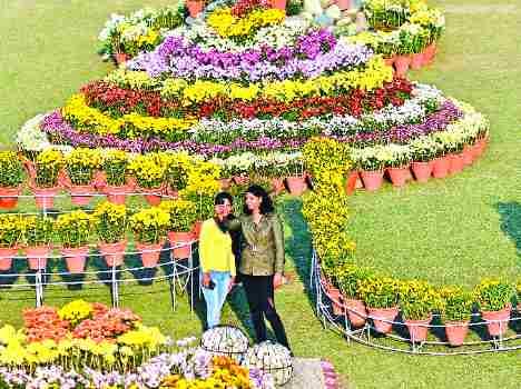 punjab university chandigarh guldaudi show