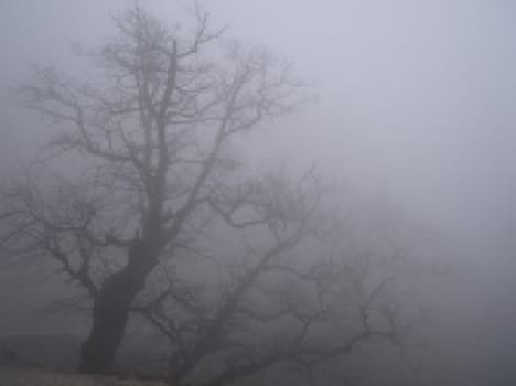 Winter in Meerut