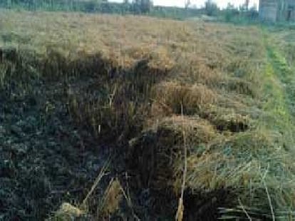 jammu basmati will be famous in foreign