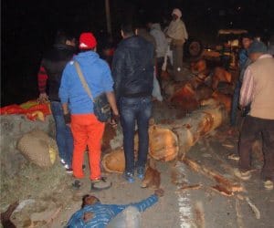 two people died in shimla kalka bypass accident