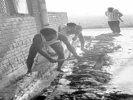 Jagtpurwasi cleaning themselves