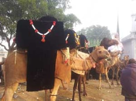 Juluse joined Amari Akidtmnd
