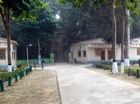 There were tours of Dudhwa On the , I silence notables