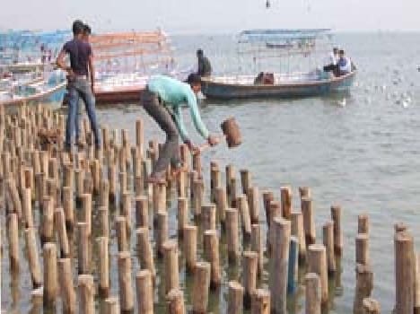 allahabad news