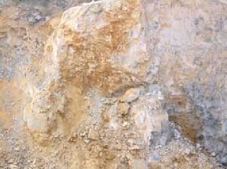 Quarry owner and two case