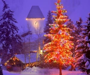 Christmas celibration at yerusalem