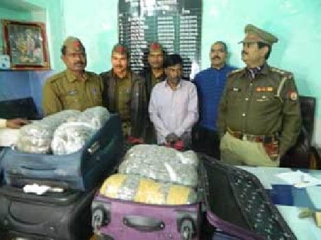 50 kg cannabis seized , one arrested
