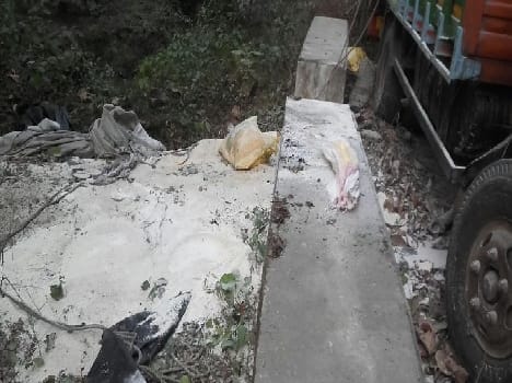 Elephants flown a million bucks feast