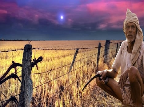 farmer got trouble due to stray cattle problem