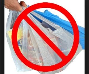 polythene banned in lucknow since last january