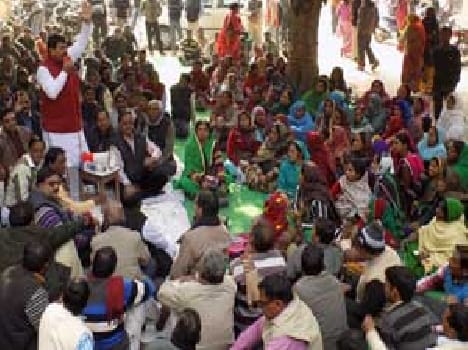 Collectorate roared State Employees