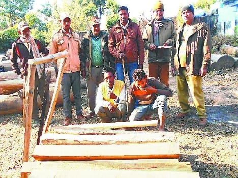Goth Forest Department seized in raids