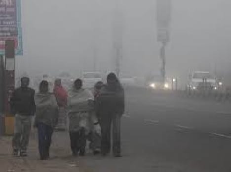 Woman killed by cold and farmer