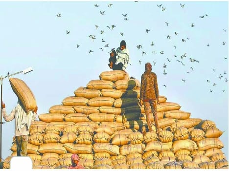 Adhtion in paddy procurement Agencies behind