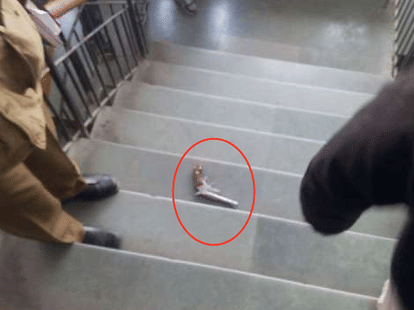 Firing in Kadkadduma court in delhi, constable died.