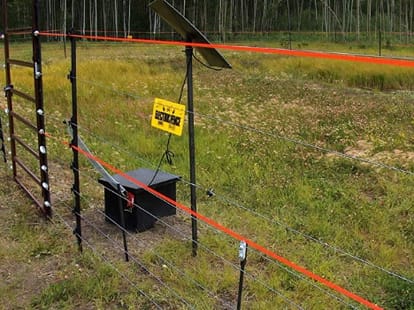 solar fencing to keep away the predators of crops, including wild pigs, cattle and sheep.