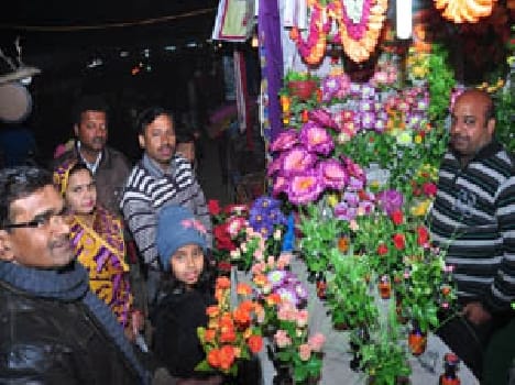 Are tempted colorful dry flowers