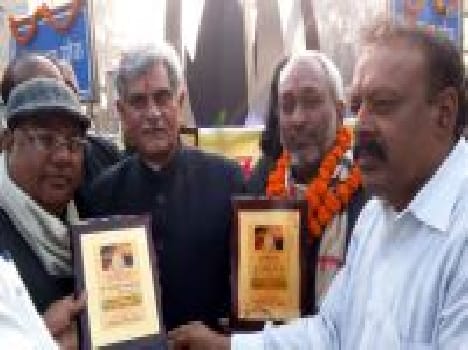 elevated track rail min mla