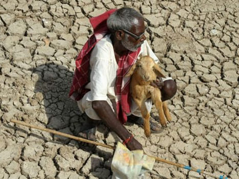 Who is responsible for starvation in UP?