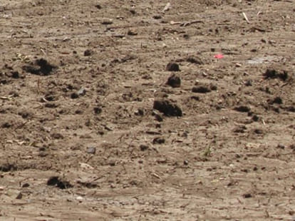 drought in different states of india, supreme court