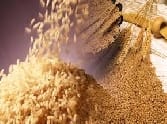one lac people will find ration from next month