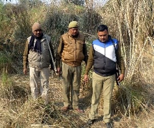 The missing man's body was found hanging from a tree three days