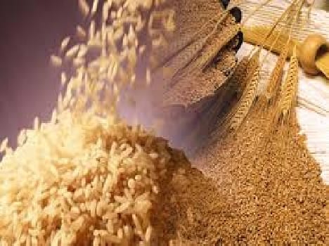 food safety act will applicable in February 