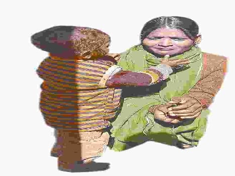 If you can not treat the adopted piece of liver