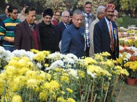 Flowers bloom happiness, money Diwali