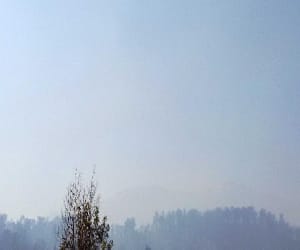 munsiyari bugyal caught fire.