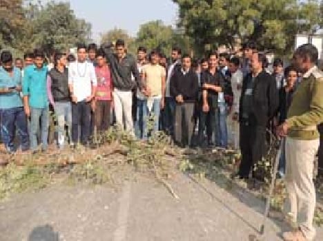 Cutting trees in the blockade of the students at the hostel