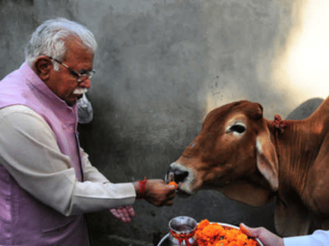 Cow slaughter critical government, police force would be deployed.
